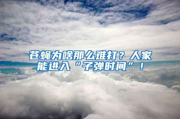 蒼蠅為啥那么難打？人家能進(jìn)入“子彈時(shí)間”！