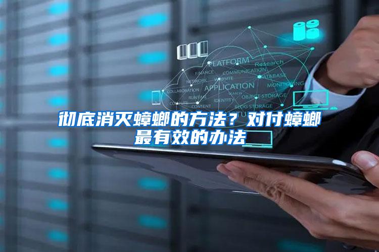 徹底消滅蟑螂的方法？對付蟑螂最有效的辦法