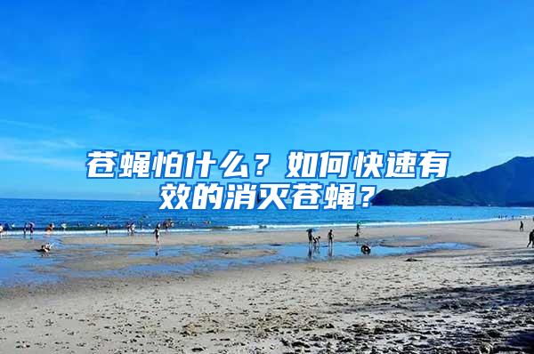蒼蠅怕什么？如何快速有效的消滅蒼蠅？