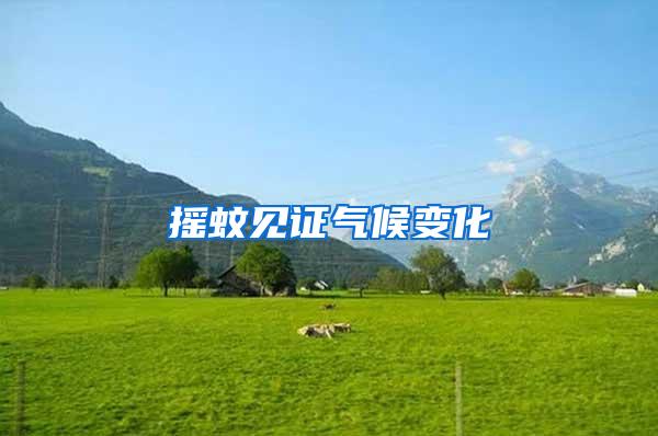 搖蚊見(jiàn)證氣候變化