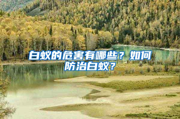 白蟻的危害有哪些？如何防治白蟻？
