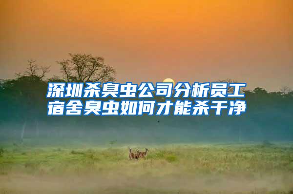 深圳殺臭蟲(chóng)公司分析員工宿舍臭蟲(chóng)如何才能殺干凈