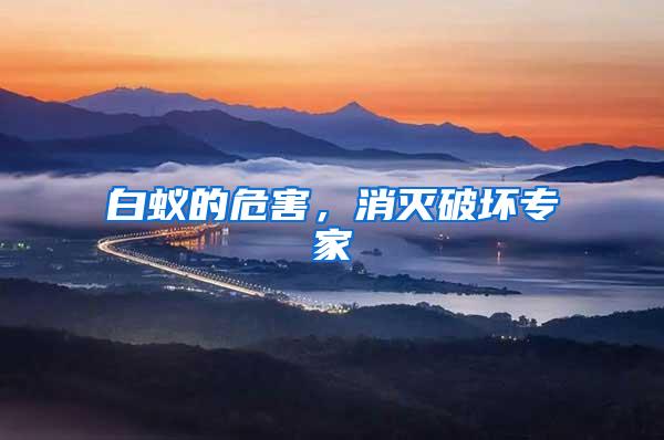 白蟻的危害，消滅破壞專家