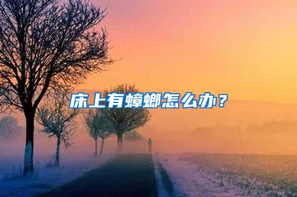 床上有蟑螂怎么辦？