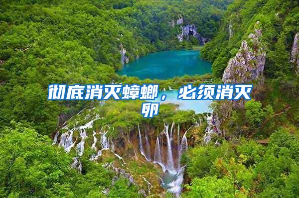 徹底消滅蟑螂，必須消滅卵