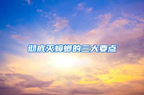 徹底滅蟑螂的三大要點(diǎn)