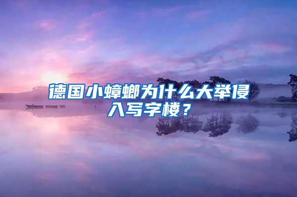 德國小蟑螂為什么大舉侵入寫字樓？