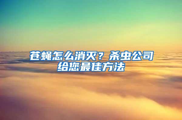 蒼蠅怎么消滅？殺蟲(chóng)公司給您最佳方法