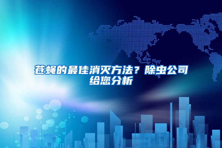 蒼蠅的最佳消滅方法？除蟲公司給您分析