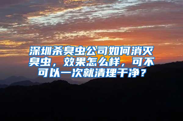 深圳殺臭蟲公司如何消滅臭蟲，效果怎么樣，可不可以一次就清理干凈？