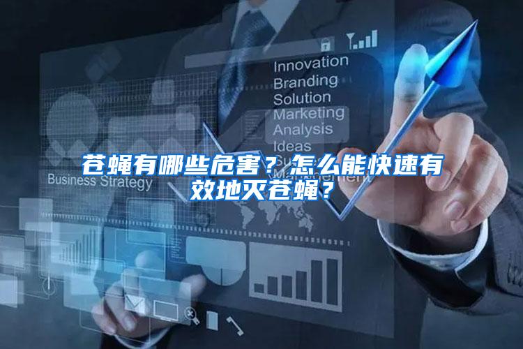 蒼蠅有哪些危害？怎么能快速有效地滅蒼蠅？