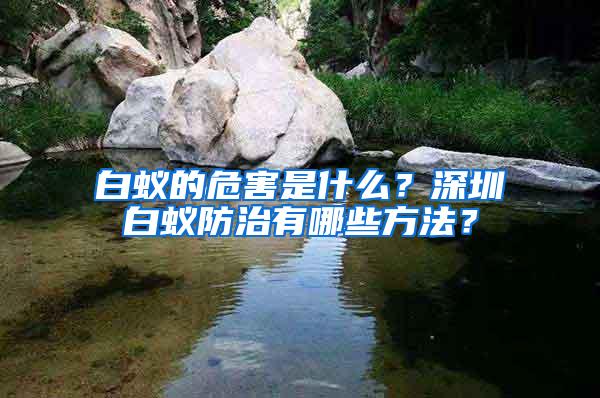白蟻的危害是什么？深圳白蟻防治有哪些方法？