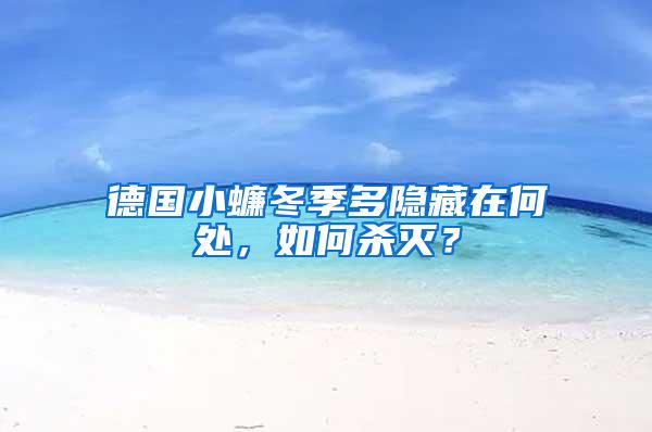 德國(guó)小蠊冬季多隱藏在何處，如何殺滅？