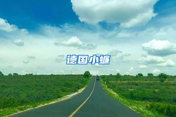 德國(guó)小蠊