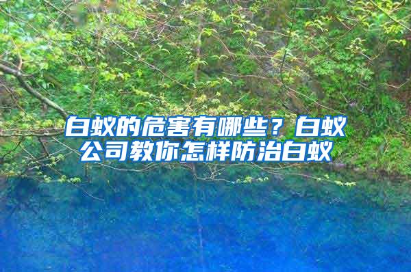 白蟻的危害有哪些？白蟻公司教你怎樣防治白蟻