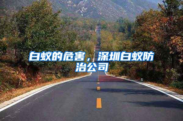 白蟻的危害，深圳白蟻防治公司