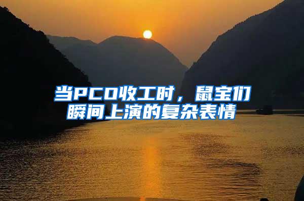 當PCO收工時，鼠寶們瞬間上演的復雜表情