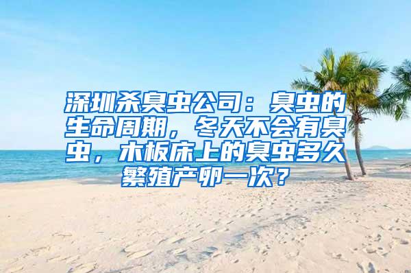 深圳殺臭蟲公司：臭蟲的生命周期，冬天不會(huì)有臭蟲，木板床上的臭蟲多久繁殖產(chǎn)卵一次？