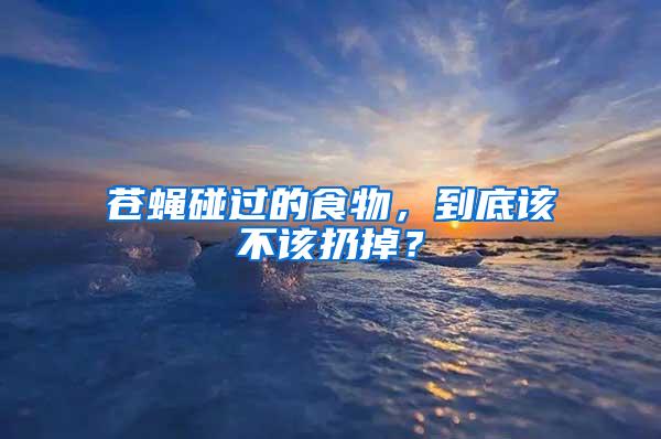 蒼蠅碰過的食物，到底該不該扔掉？