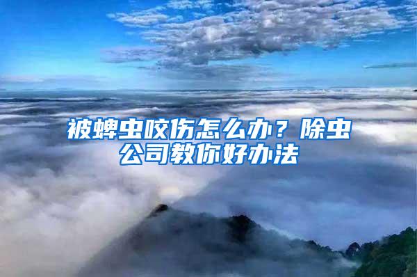 被蜱蟲咬傷怎么辦？除蟲公司教你好辦法