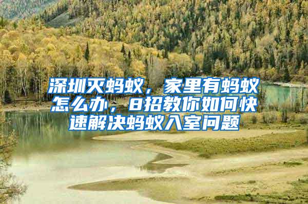 深圳滅螞蟻，家里有螞蟻怎么辦，8招教你如何快速解決螞蟻入室問題