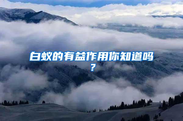 白蟻的有益作用你知道嗎？