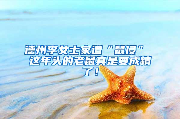 德州李女士家遭“鼠侵” 這年頭的老鼠真是要成精了！