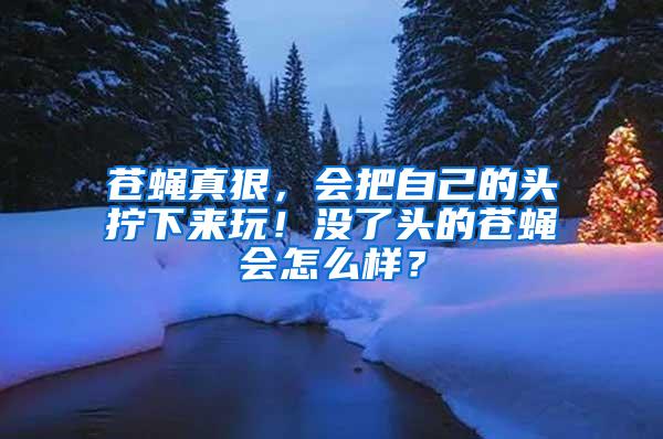蒼蠅真狠，會(huì)把自己的頭擰下來(lái)玩！沒(méi)了頭的蒼蠅會(huì)怎么樣？