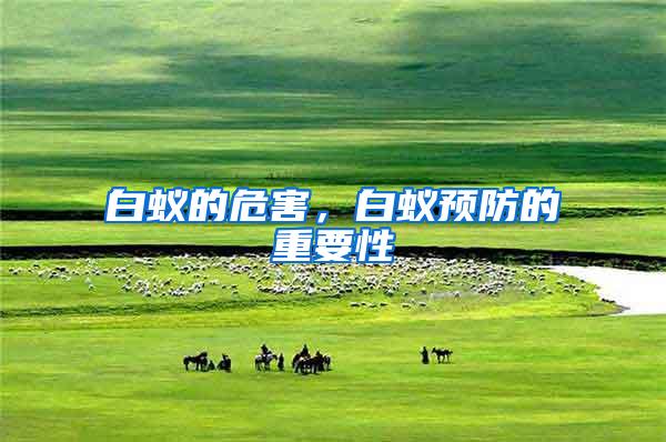 白蟻的危害，白蟻預(yù)防的重要性