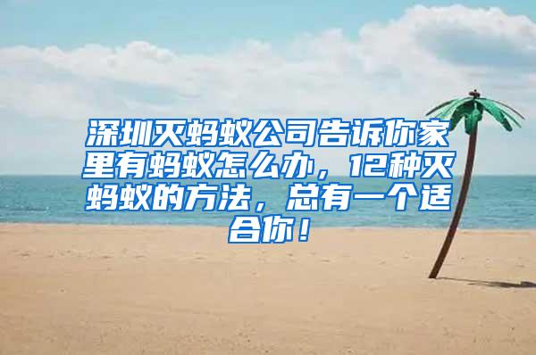 深圳滅螞蟻公司告訴你家里有螞蟻怎么辦，12種滅螞蟻的方法，總有一個(gè)適合你！