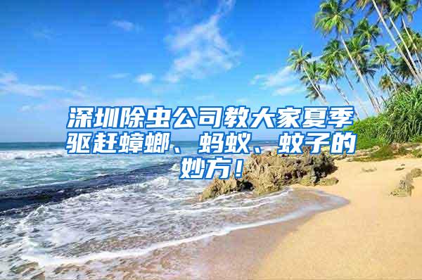 深圳除蟲(chóng)公司教大家夏季驅(qū)趕蟑螂、螞蟻、蚊子的妙方！