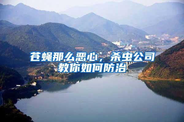 蒼蠅那么惡心，殺蟲(chóng)公司教你如何防治