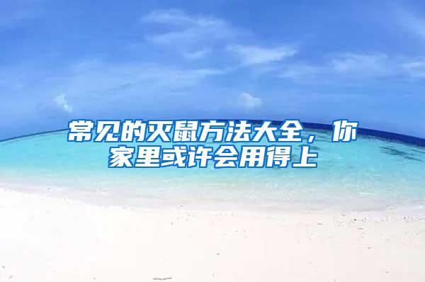 常見的滅鼠方法大全，你家里或許會用得上