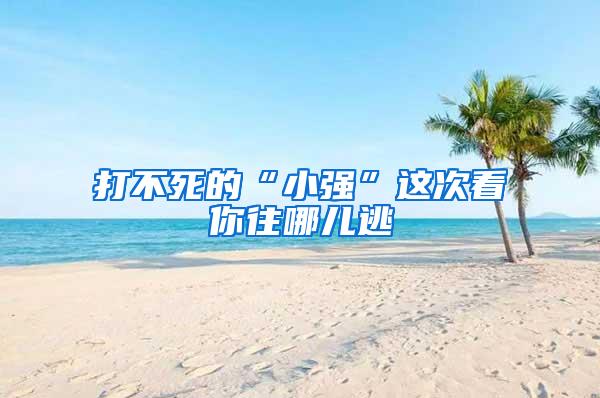 打不死的“小強(qiáng)”這次看你往哪兒逃