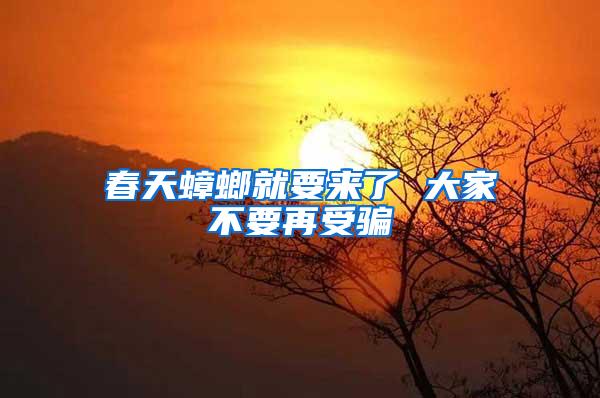 春天蟑螂就要來(lái)了 大家不要再受騙