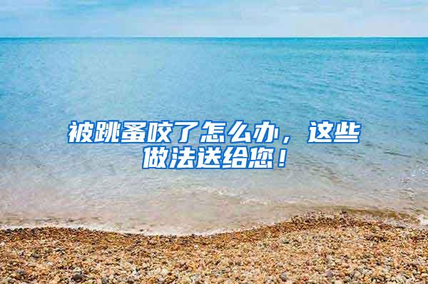 被跳蚤咬了怎么辦，這些做法送給您！