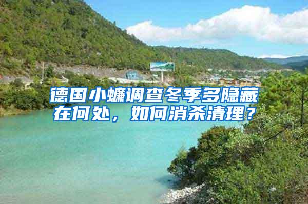 德國小蠊調(diào)查冬季多隱藏在何處，如何消殺清理？