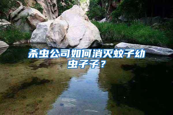 殺蟲公司如何消滅蚊子幼蟲孑孓？