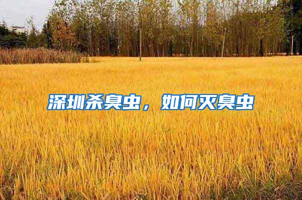 深圳殺臭蟲，如何滅臭蟲