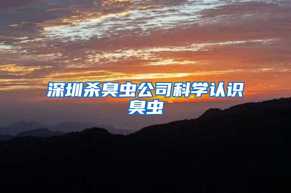 深圳殺臭蟲公司科學(xué)認(rèn)識(shí)臭蟲