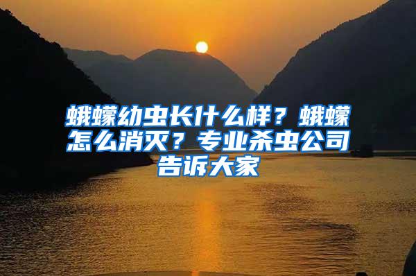蛾蠓幼蟲長什么樣？蛾蠓怎么消滅？專業(yè)殺蟲公司告訴大家