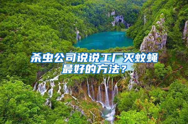 殺蟲公司說說工廠滅蚊蠅最好的方法？