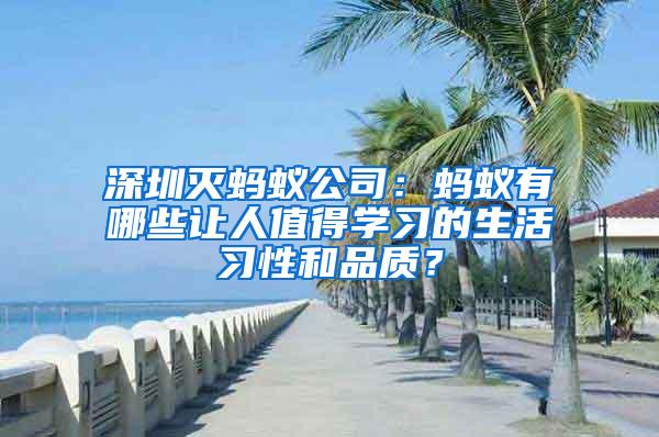 深圳滅螞蟻公司：螞蟻有哪些讓人值得學(xué)習(xí)的生活習(xí)性和品質(zhì)？
