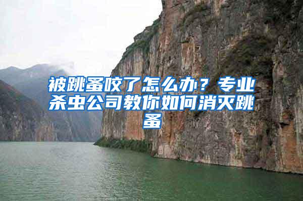 被跳蚤咬了怎么辦？專業(yè)殺蟲(chóng)公司教你如何消滅跳蚤