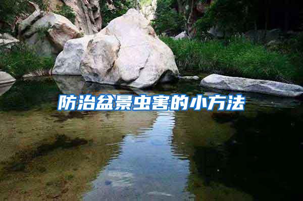 防治盆景蟲(chóng)害的小方法