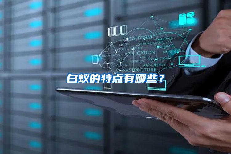 白蟻的特點(diǎn)有哪些？
