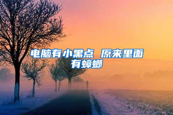 電腦有小黑點(diǎn) 原來(lái)里面有蟑螂