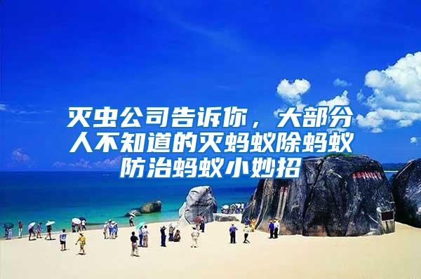 滅蟲公司告訴你，大部分人不知道的滅螞蟻除螞蟻防治螞蟻小妙招