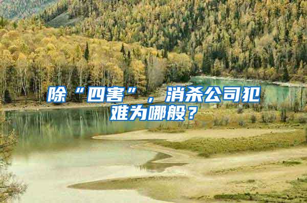 除“四害”，消殺公司犯難為哪般？
