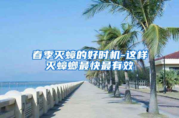 春季滅蟑的好時(shí)機(jī)-這樣滅蟑螂最快最有效